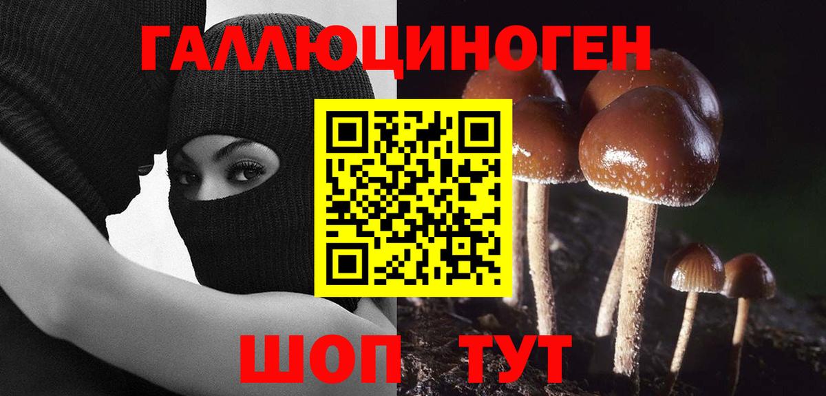 Наро-Фоминск  Галлюциногенные грибы MAGIC MUSHROOMS  Вход с VPN 